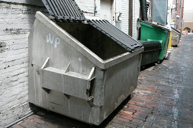 Affordable Dumpster Rentals Near Me